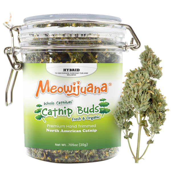 Loose Dried Catnip
