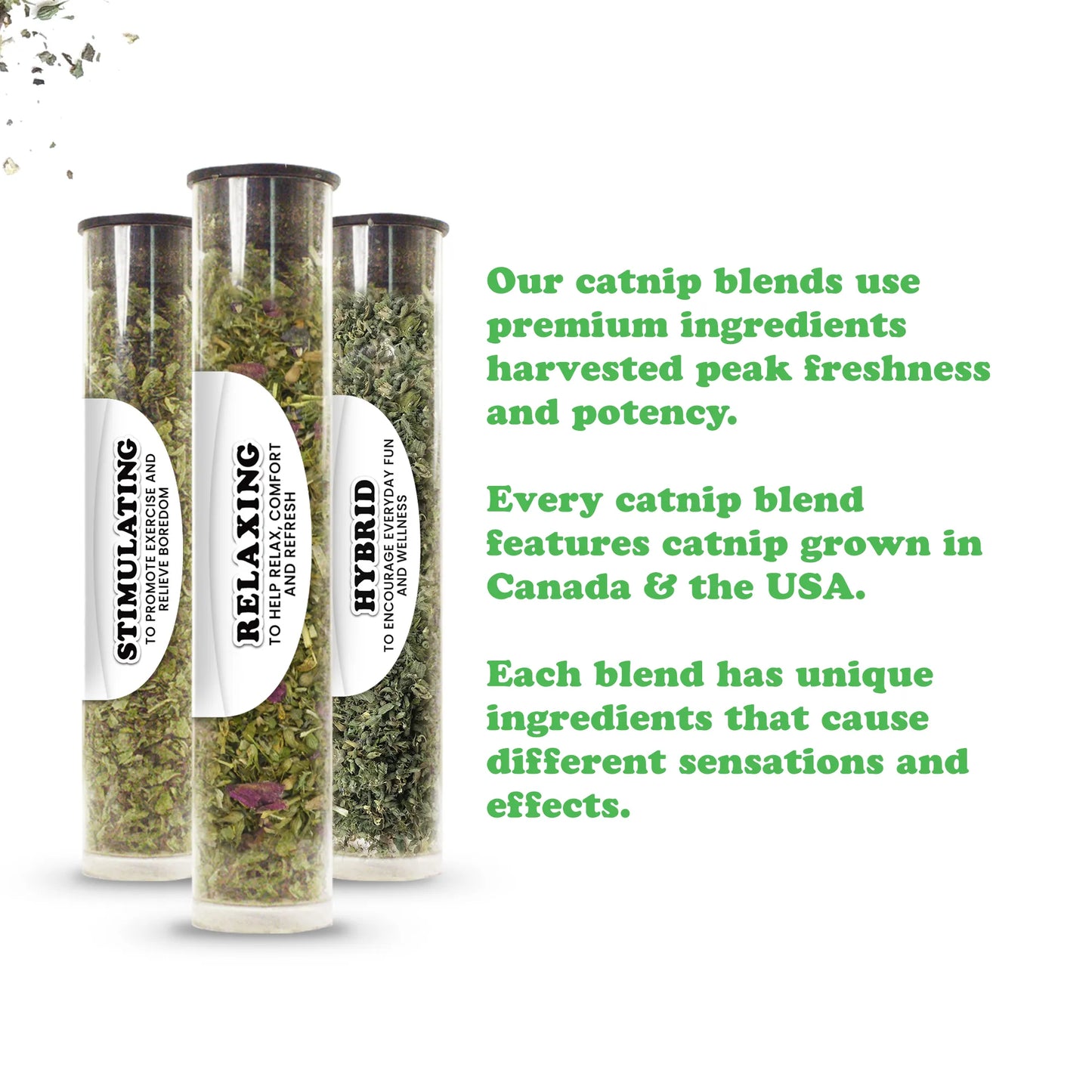 Three tubes of catnip blends labeled "Stimulating," "Relaxing," and "Hybrid."