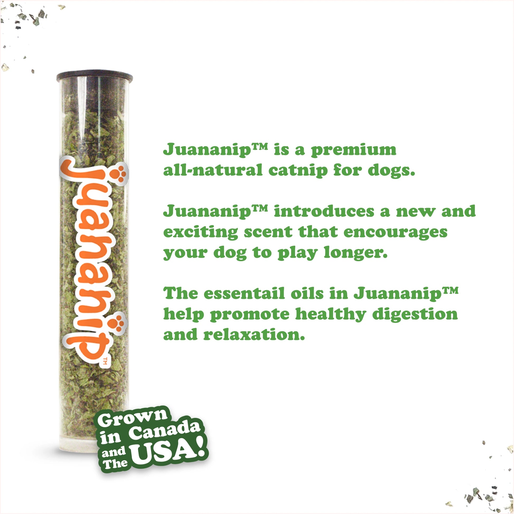Doggi Duo avocado toast toy & Juananip refill bundle
