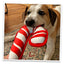 Candy Cane and Gingerbread tough dog toy bundle