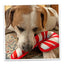 Candy Cane and Gingerbread tough dog toy bundle