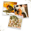 Close-up collage of the Juananip® Tuffer Chewer toy in use: filled with catnip, chewed by a dog, and sprinkled on food.