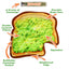 Avocado Toast and Bagel Tuffer dog toy bundle