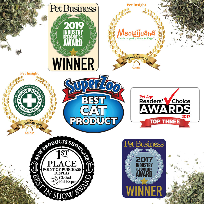 We have been working to create great catnip since 2016.