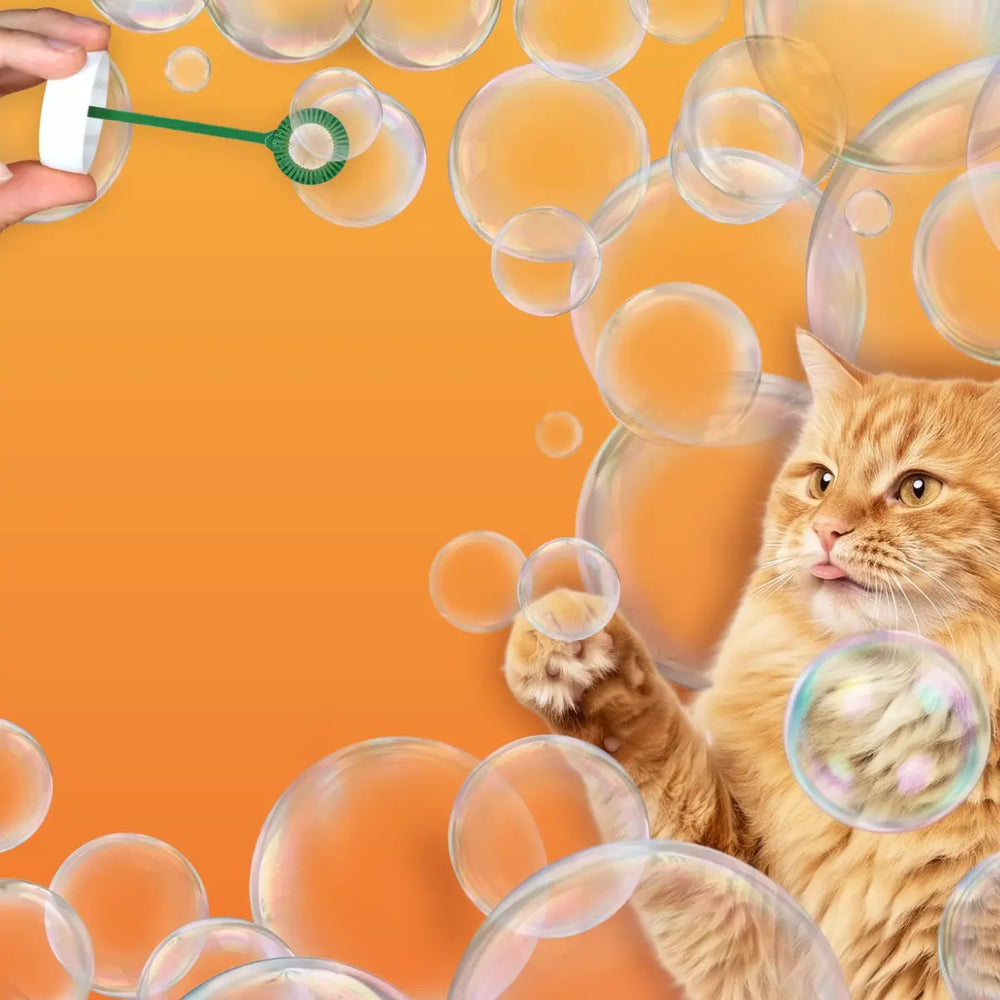 Meowijuana Promotions – SmarterPaw