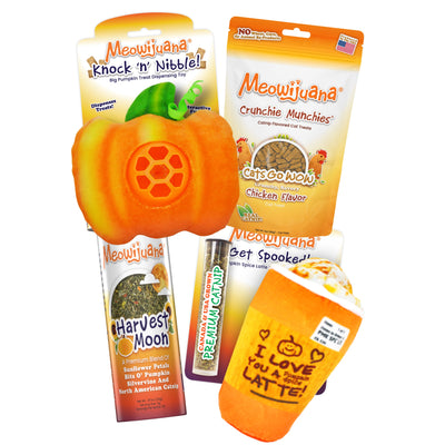 Fall Favorites Bundle