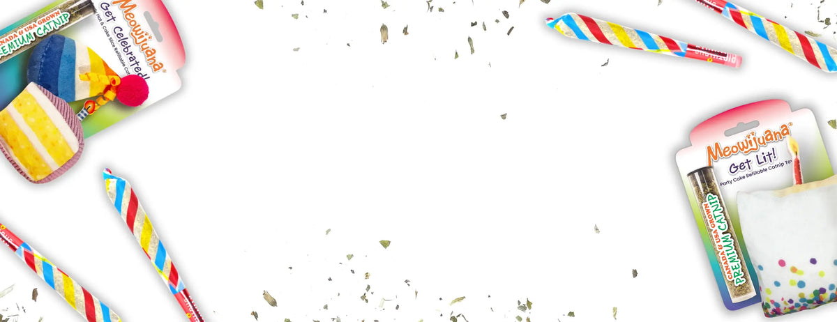 Promo banner