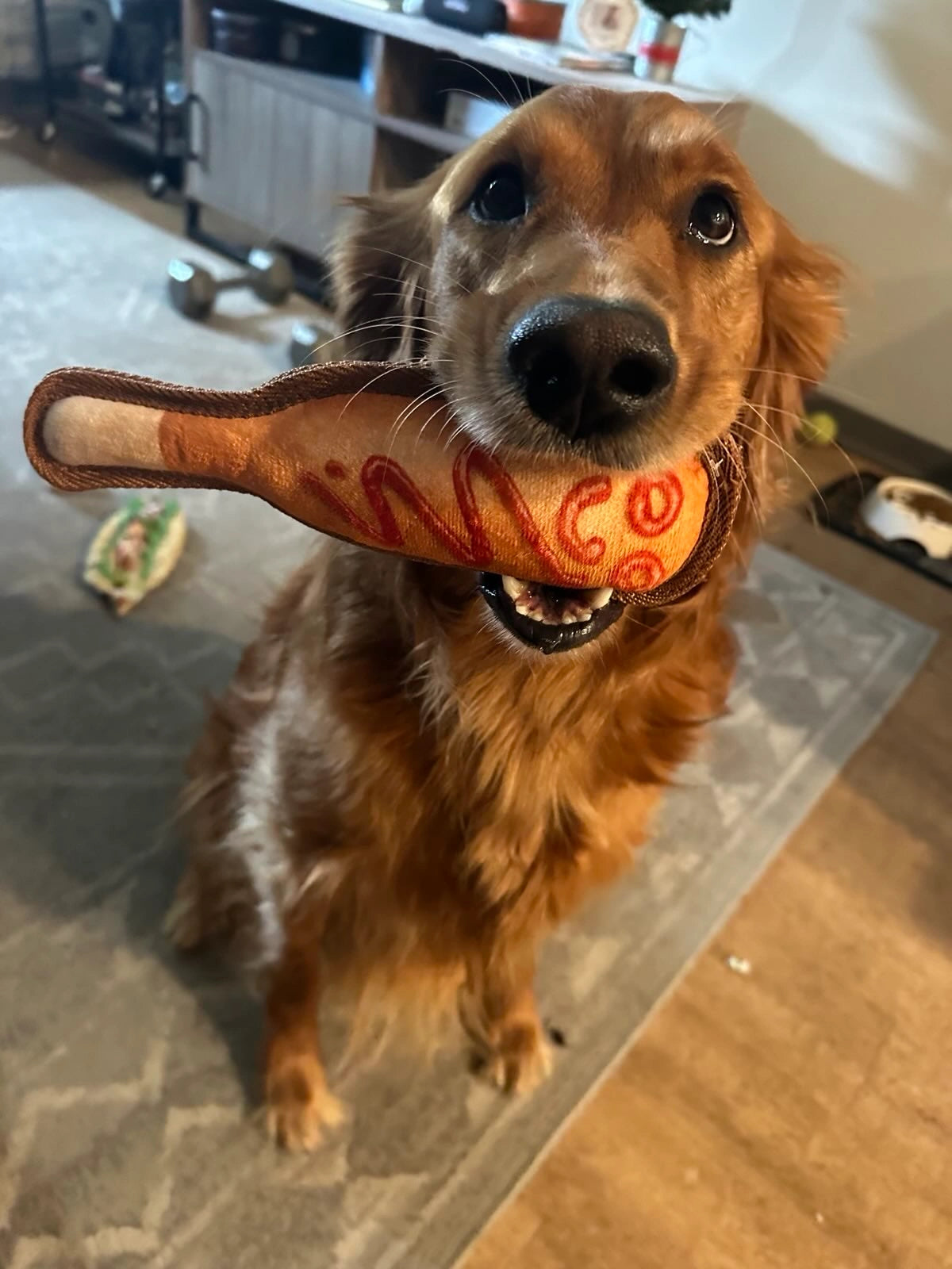 Tuffer Chewer Mini Doggi Duo Bundle - Corn Dog & Juananip