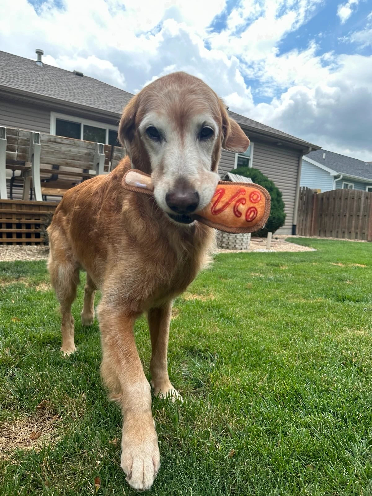 Tuffer Chewer Mini Doggi Duo Bundle - Corn Dog & Juananip
