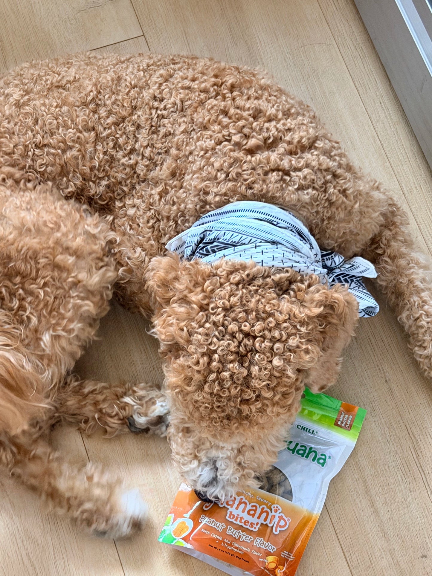 Juananip Bites - Peanut Butter Flavor Dog Treats