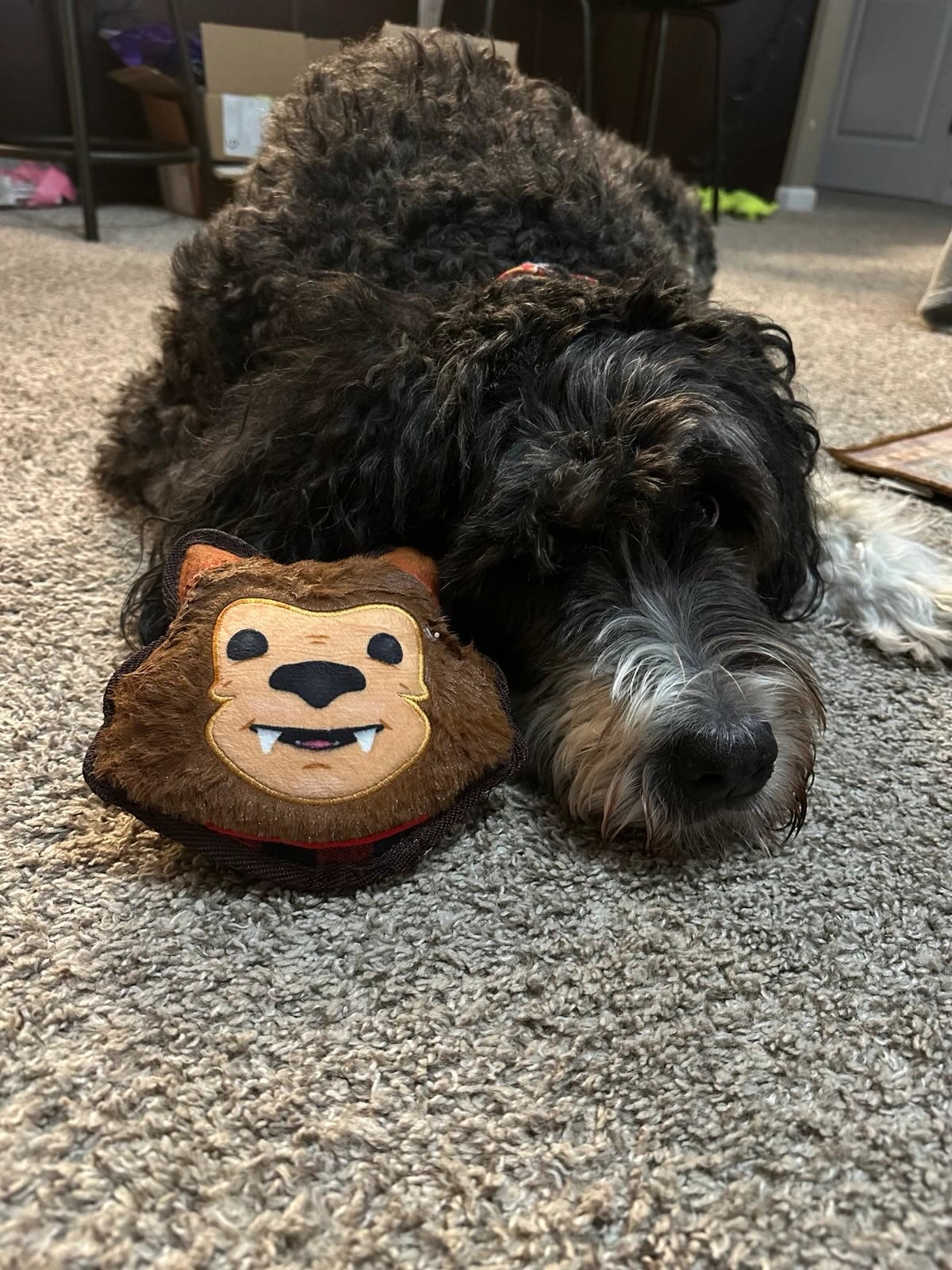 Fall Tuffer Chewer Mini Bundle