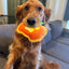 Fall Tuffer Chewer Mini Bundle