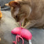 Get Floated Jellyfish Refillable Cat Toy