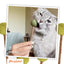 Suckers - Limited Edition Silvervine Sticks With Catnip