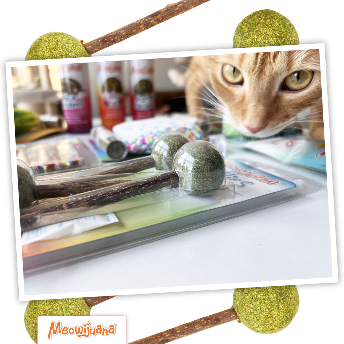 Suckers - Limited Edition Silvervine Sticks With Catnip