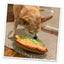 Tuffer Chewer Avocado Toast Refillable Dog Toy