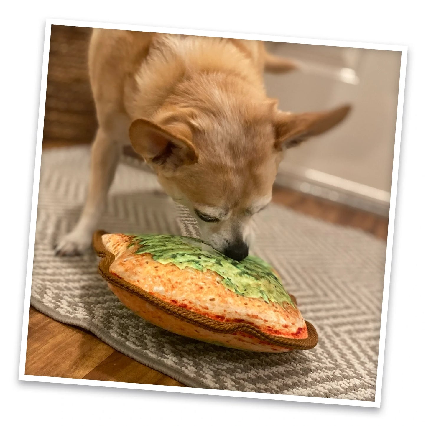 Tuffer Chewer Avocado Toast Refillable Dog Toy