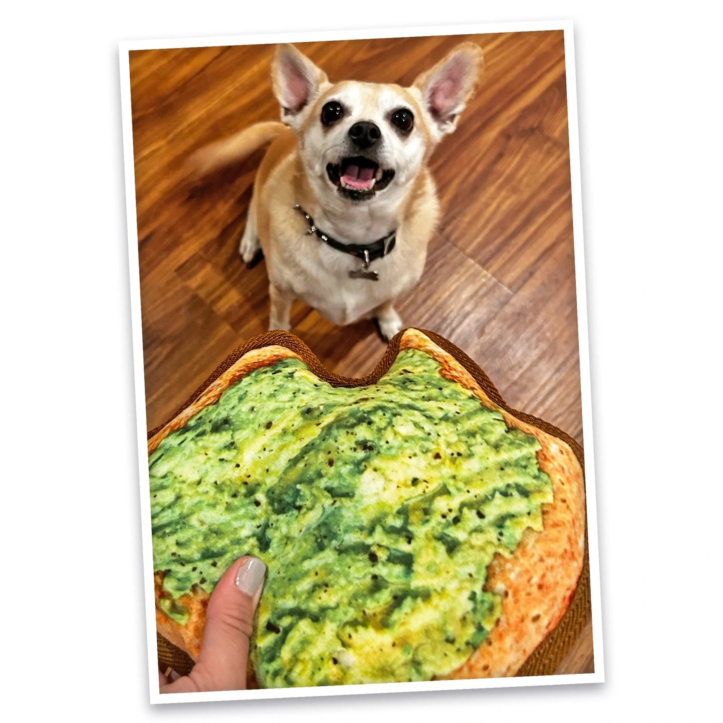 Tuffer Chewer Avocado Toast Refillable Dog Toy