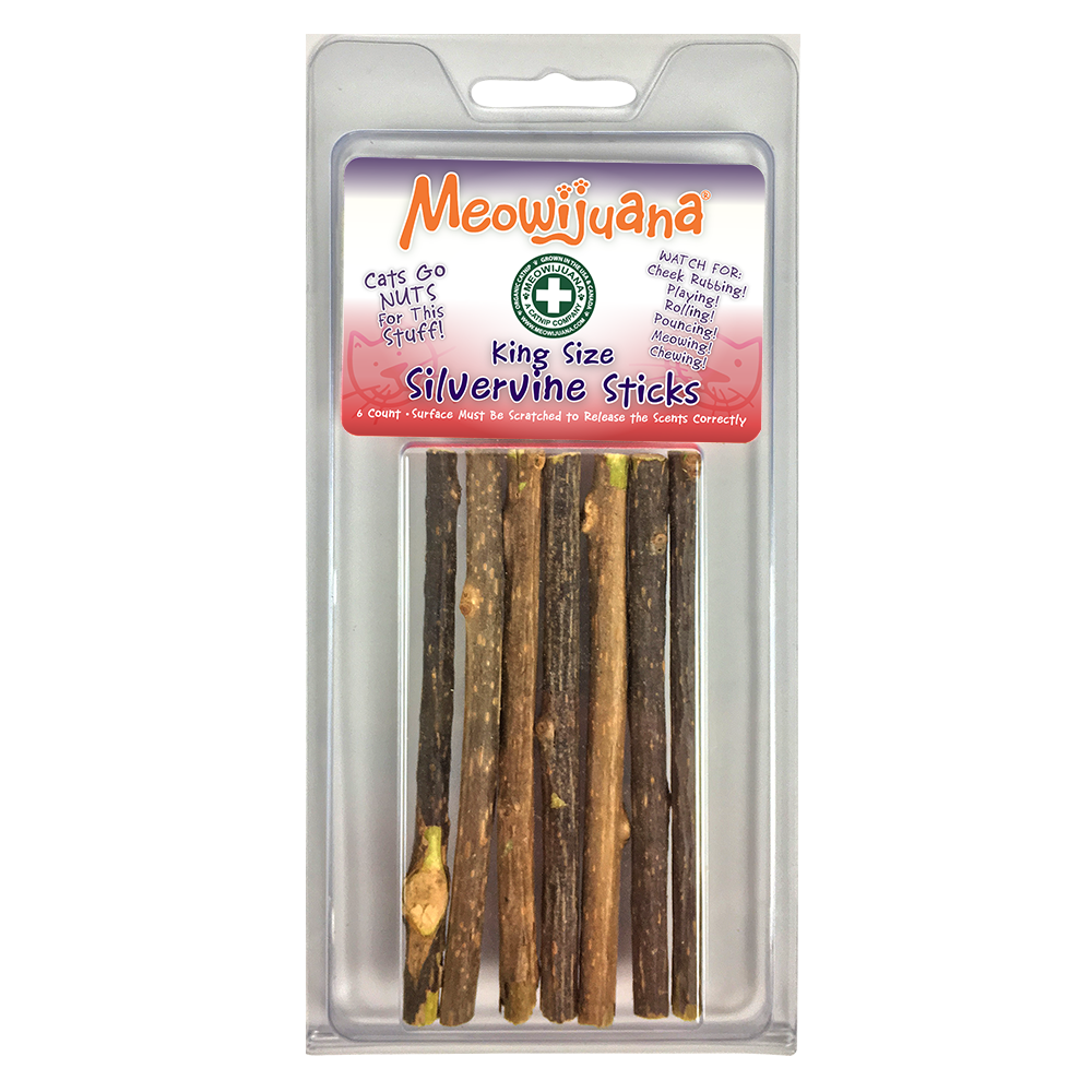 Meowy & Bright Bundle